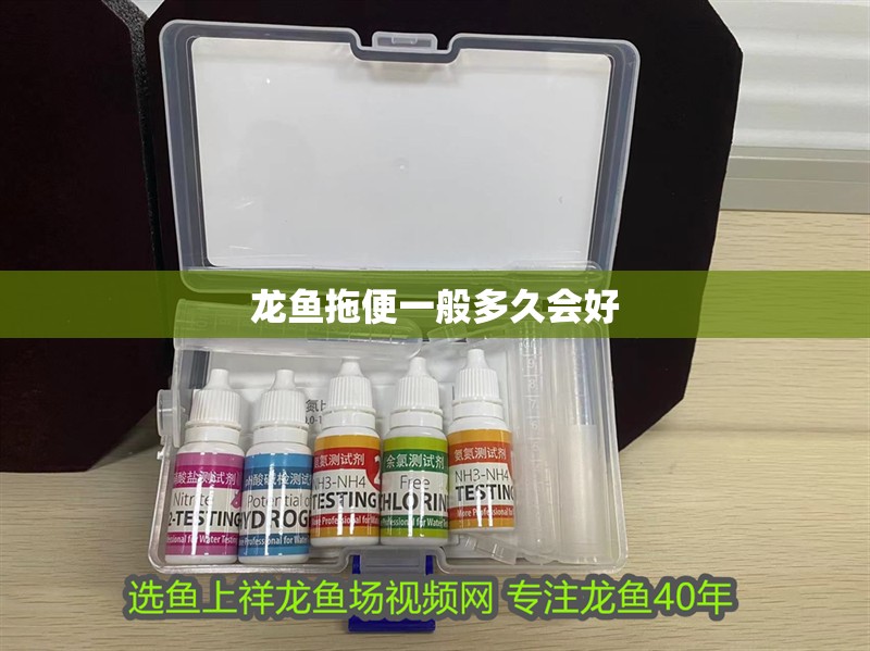 龍魚拖便一般多久會好