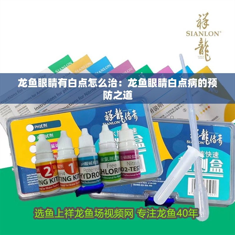 龍魚眼睛有白點怎么治：龍魚眼睛白點病的預防之道