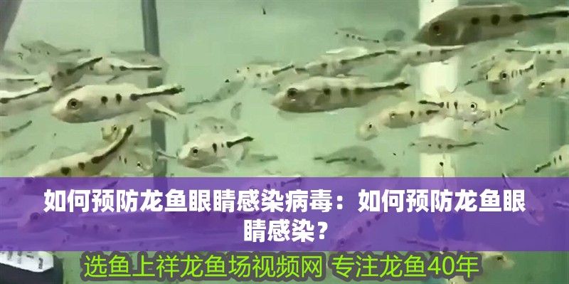 如何預防龍魚眼睛感染病毒：如何預防龍魚眼睛感染？