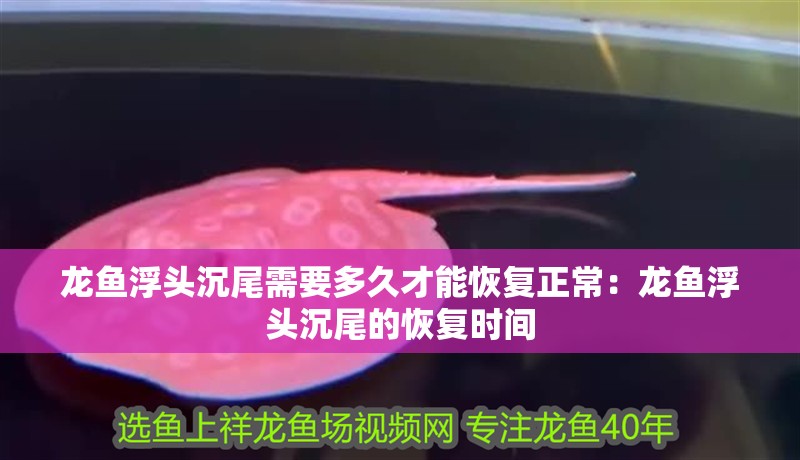 龍魚浮頭沉尾需要多久才能恢復正常：龍魚浮頭沉尾的恢復時間