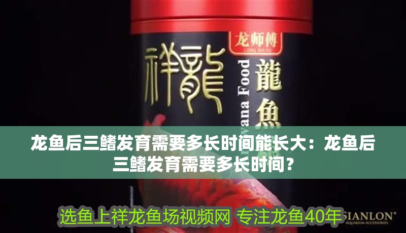 龍魚后三鰭發育需要多長時間能長大：龍魚后三鰭發育需要多長時間？