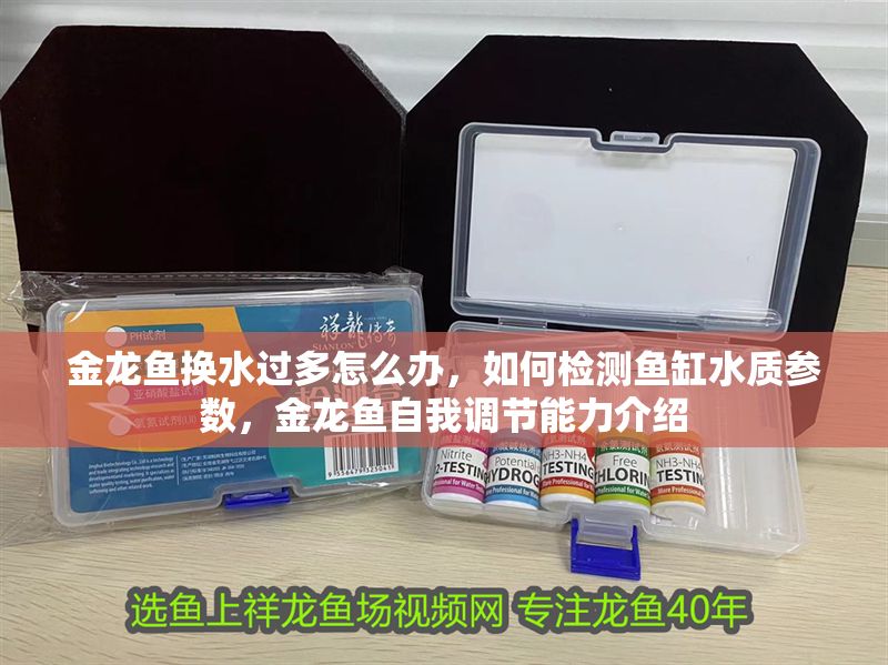 金龍魚換水過多怎么辦，如何檢測魚缸水質參數，金龍魚自我調節能力介紹