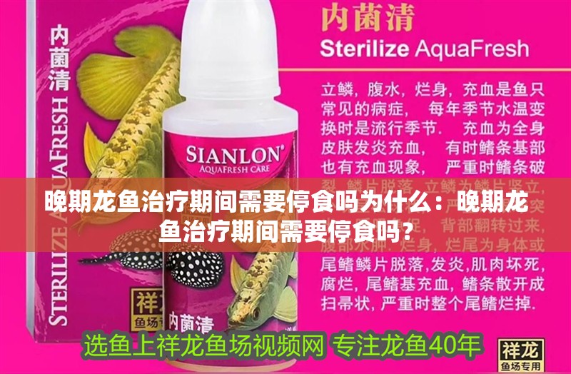 晚期龍魚治療期間需要停食嗎為什么：晚期龍魚治療期間需要停食嗎？