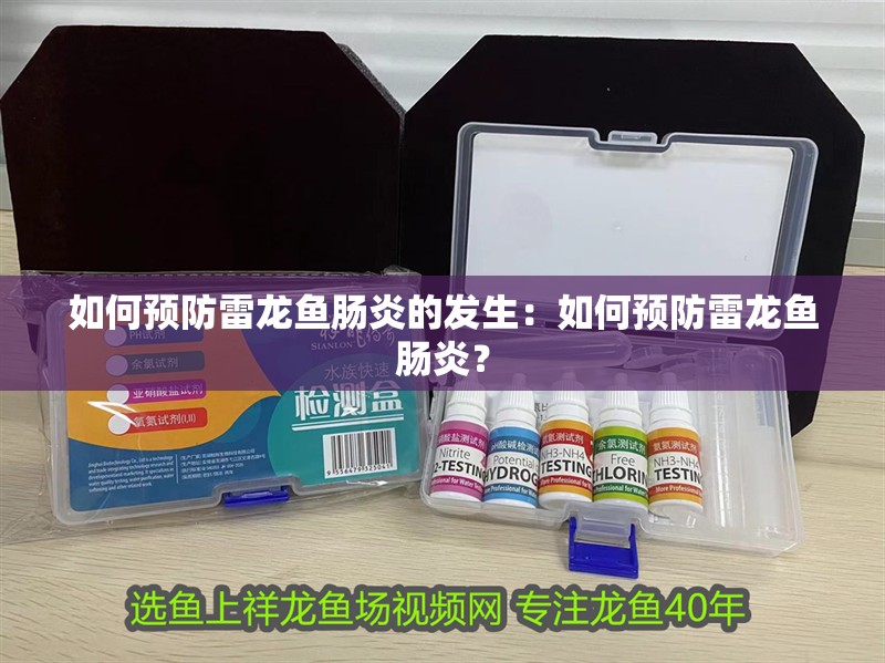 如何預(yù)防雷龍魚腸炎的發(fā)生：如何預(yù)防雷龍魚腸炎？