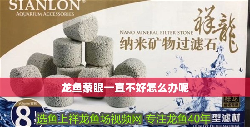 龍魚蒙眼一直不好怎么辦呢