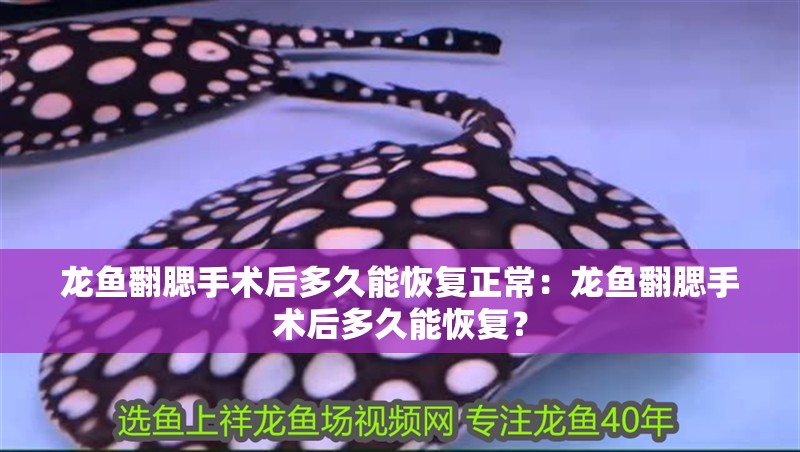 龍魚翻腮手術后多久能恢復正常：龍魚翻腮手術后多久能恢復？