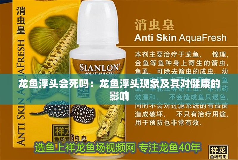 龍魚浮頭會死嗎：龍魚浮頭現(xiàn)象及其對健康的影響