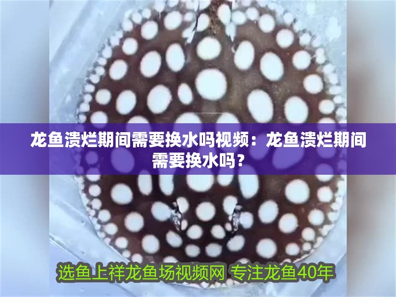 龍魚(yú)潰爛期間需要換水嗎視頻：龍魚(yú)潰爛期間需要換水嗎？