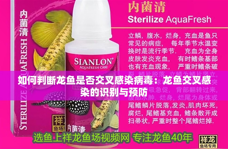 如何判斷龍魚是否交叉感染病毒：龍魚交叉感染的識別與預(yù)防