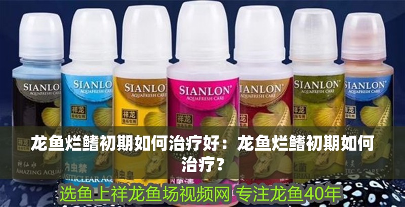 龍魚爛鰭初期如何治療好：龍魚爛鰭初期如何治療？