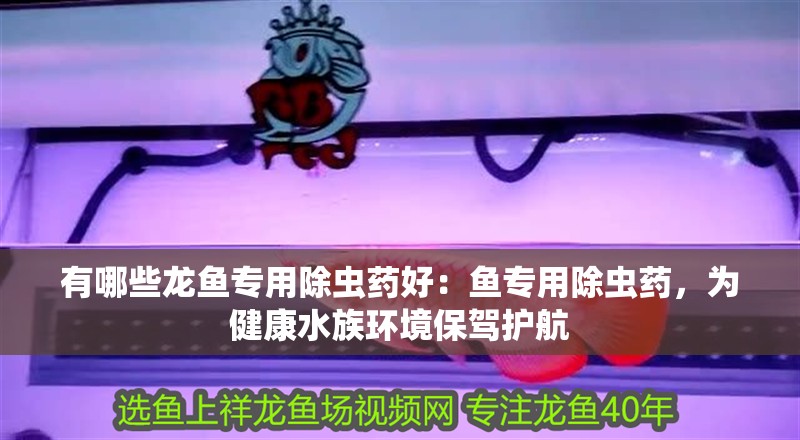 有哪些龍魚專用除蟲藥好：魚專用除蟲藥，為健康水族環境保駕護航