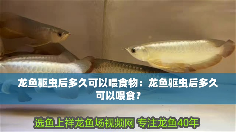 龍魚驅蟲后多久可以喂食物：龍魚驅蟲后多久可以喂食？