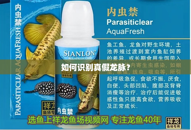 如何識別真假龍脈？