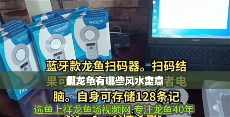 假龍龜有哪些風水寓意