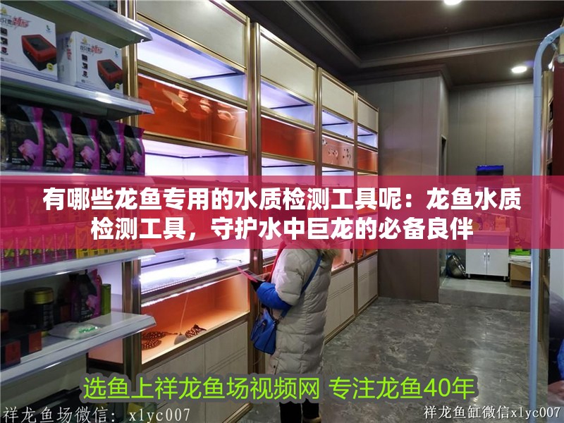 有哪些龍魚專用的水質檢測工具呢：龍魚水質檢測工具，守護水中巨龍的必備良伴