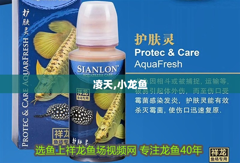 魚缸用增氧泵價格是多少:魚缸增氧機-xtrac增氧機-xtrac增氧機 凌天,小龍魚 龍魚百科 凌天,小龍魚 凌天,小龍魚 龍魚百科