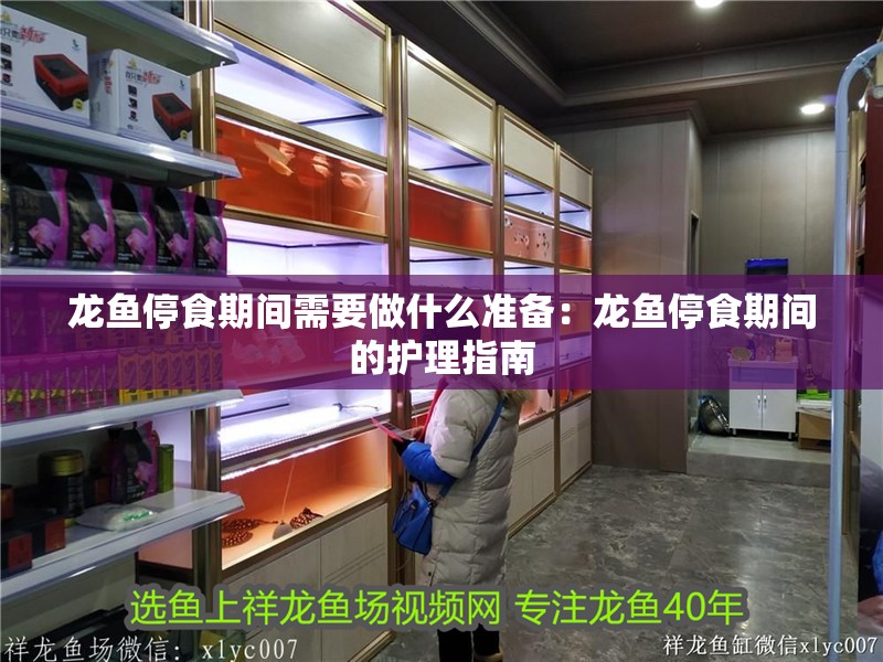 龍魚停食期間需要做什么準備：龍魚停食期間的護理指南