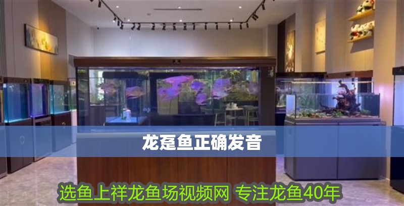 龍躉魚正確發音