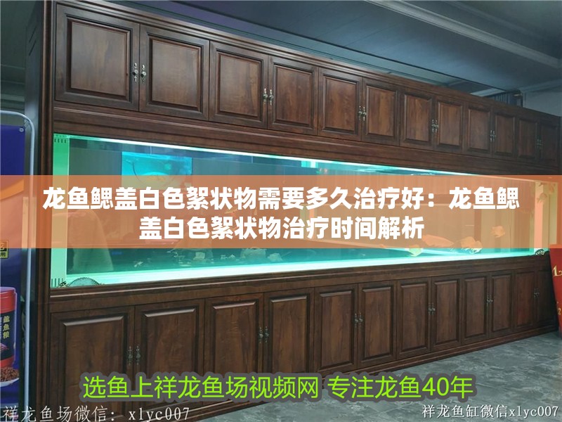 龍魚(yú)鰓蓋白色絮狀物需要多久治療好：龍魚(yú)鰓蓋白色絮狀物治療時(shí)間解析