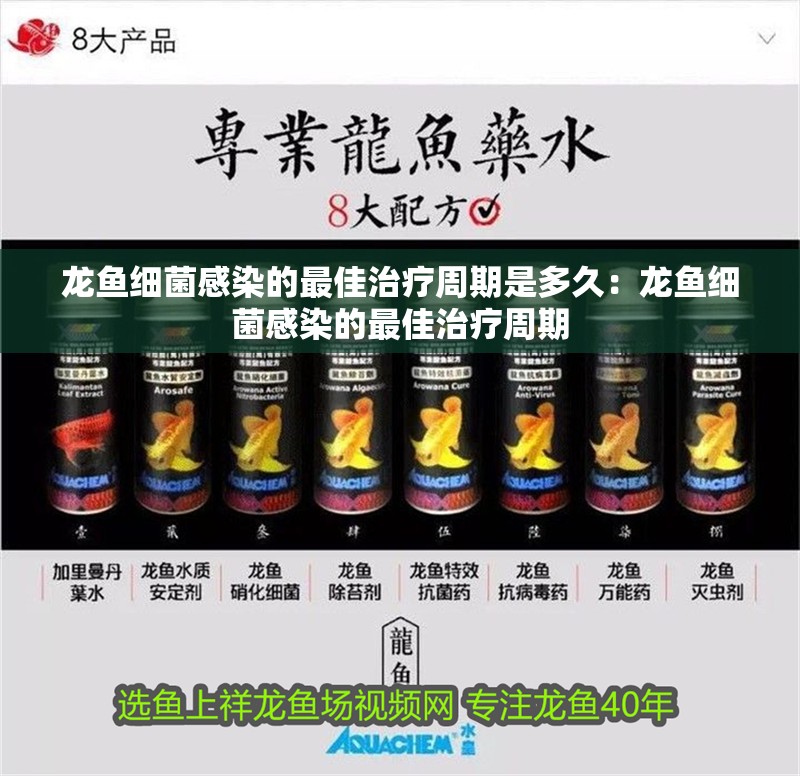 龍魚細菌感染的最佳治療周期是多久：龍魚細菌感染的最佳治療周期