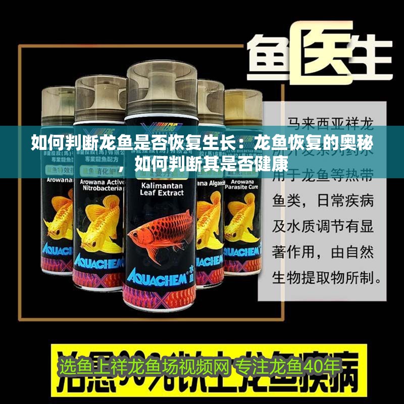 如何判斷龍魚是否恢復生長：龍魚恢復的奧秘，如何判斷其是否健康