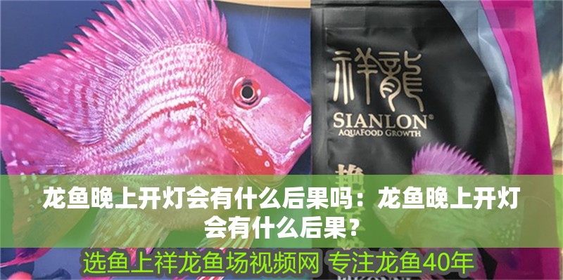 龍魚晚上開燈會有什么后果嗎：龍魚晚上開燈會有什么后果？