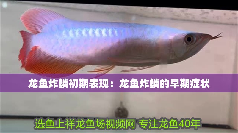 龍魚炸鱗初期表現：龍魚炸鱗的早期癥狀