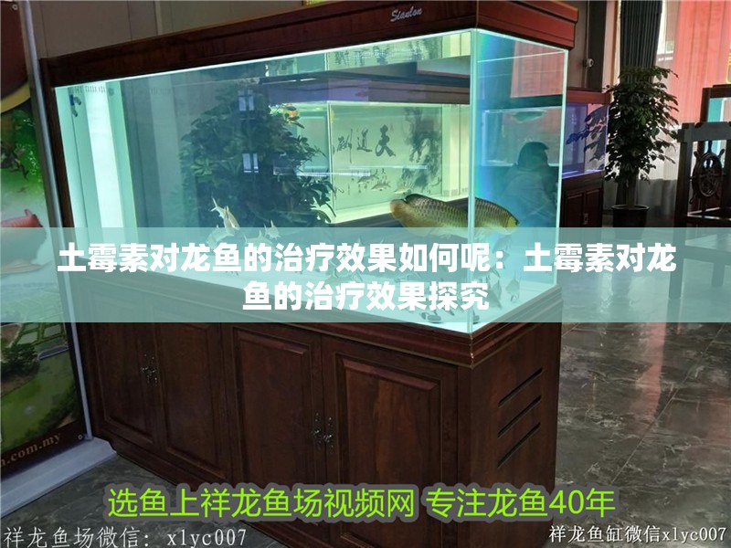 土霉素對龍魚的治療效果如何呢：土霉素對龍魚的治療效果探究