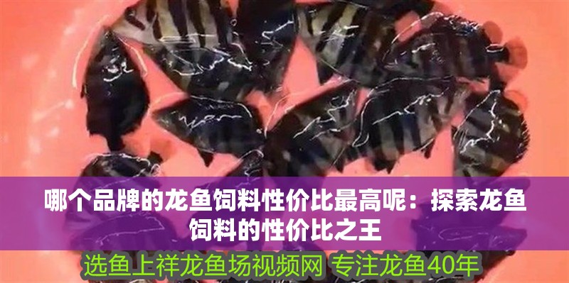 哪個品牌的龍魚飼料性價比最高呢：探索龍魚飼料的性價比之王
