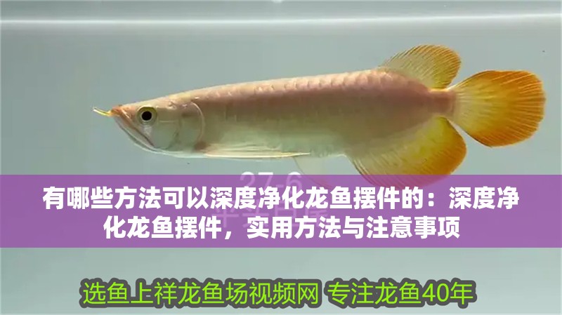 有哪些方法可以深度凈化龍魚擺件的：深度凈化龍魚擺件，實用方法與注意事項