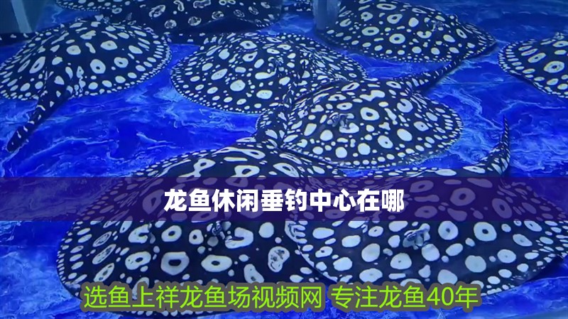 龍魚休閑垂釣中心在哪