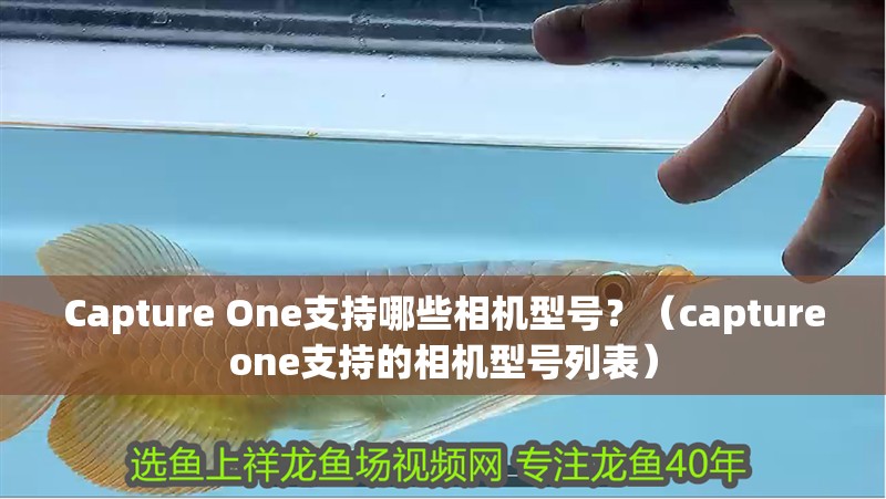 Capture One支持哪些相機(jī)型號？（captureone支持的相機(jī)型號列表）