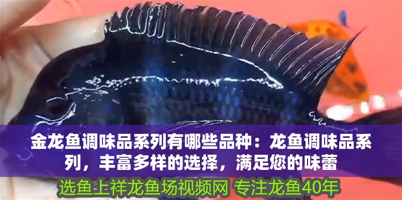 金龍魚調味品系列有哪些品種：龍魚調味品系列，豐富多樣的選擇，滿足您的味蕾