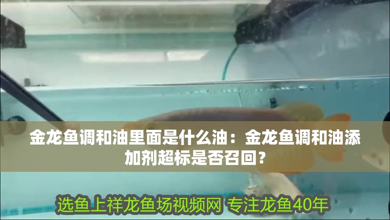 金龍魚調和油里面是什么油：金龍魚調和油添加劑超標是否召回？