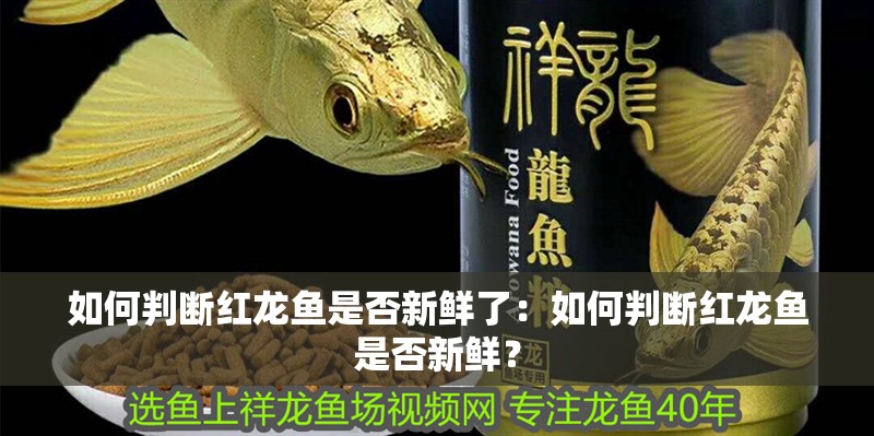 如何判斷紅龍魚(yú)是否新鮮了：如何判斷紅龍魚(yú)是否新鮮？