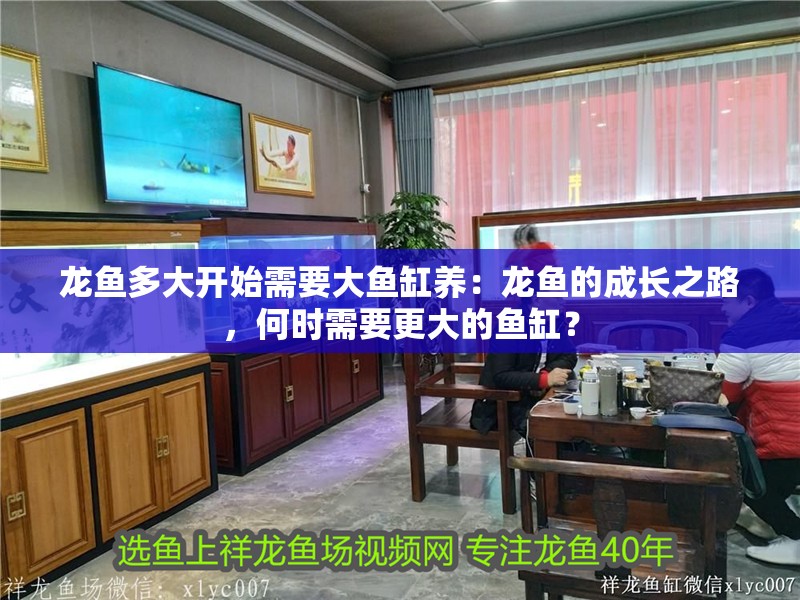 龍魚多大開始需要大魚缸養(yǎng)：龍魚的成長之路，何時(shí)需要更大的魚缸？