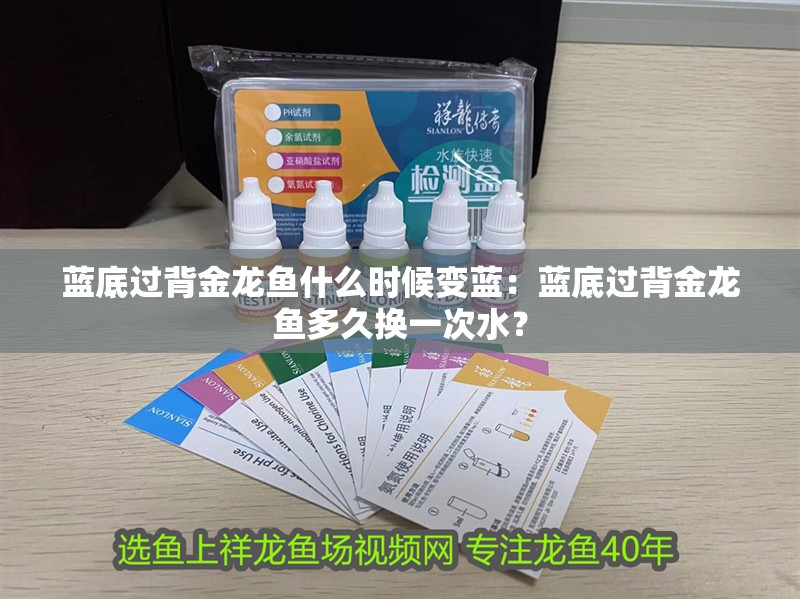 藍底過背金龍魚什么時候變藍：藍底過背金龍魚多久換一次水？