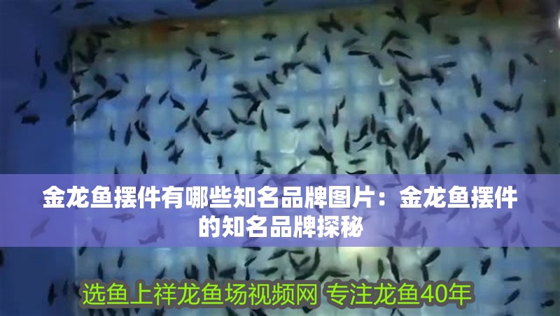 金龍魚擺件有哪些知名品牌圖片：金龍魚擺件的知名品牌探秘