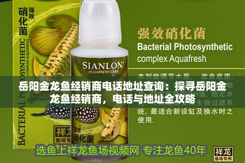 仟湖魚缸官網(仟湖魚缸官網售后電話)