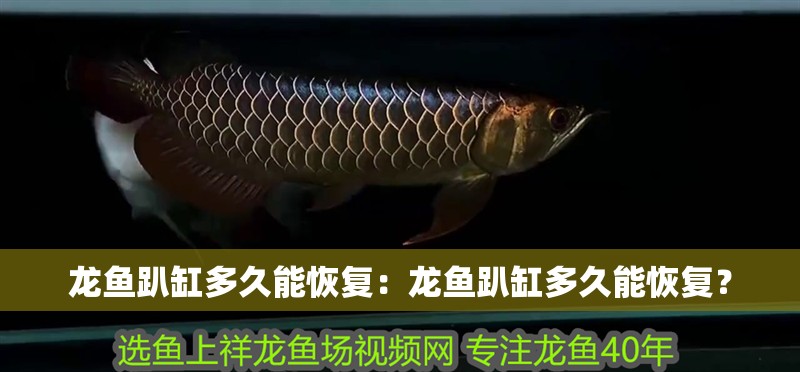 龍魚趴缸多久能恢復：龍魚趴缸多久能恢復？