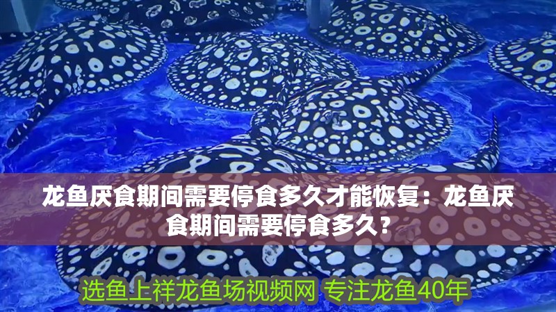 龍魚厭食期間需要停食多久才能恢復：龍魚厭食期間需要停食多久？