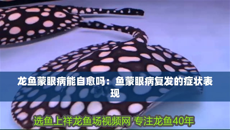 龍魚蒙眼病能自愈嗎：魚蒙眼病復發的癥狀表現