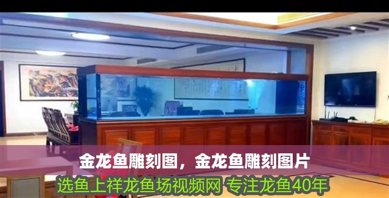 金龍魚雕刻圖，金龍魚雕刻圖片