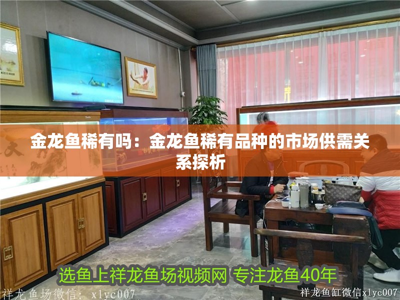 金龍魚稀有嗎：金龍魚稀有品種的市場供需關系探析