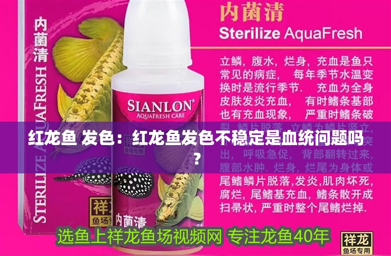 紅龍魚 發色：紅龍魚發色不穩定是血統問題嗎？