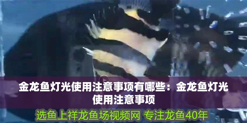 金龍魚燈光使用注意事項有哪些：金龍魚燈光使用注意事項