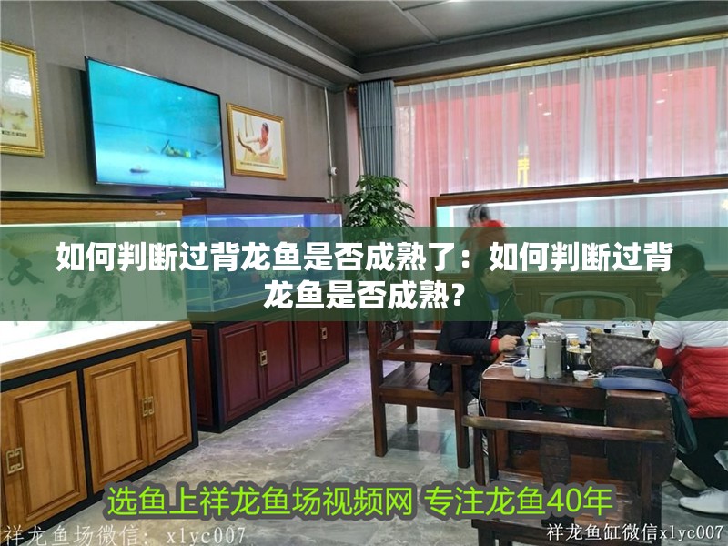 如何判斷過背龍魚是否成熟了：如何判斷過背龍魚是否成熟？