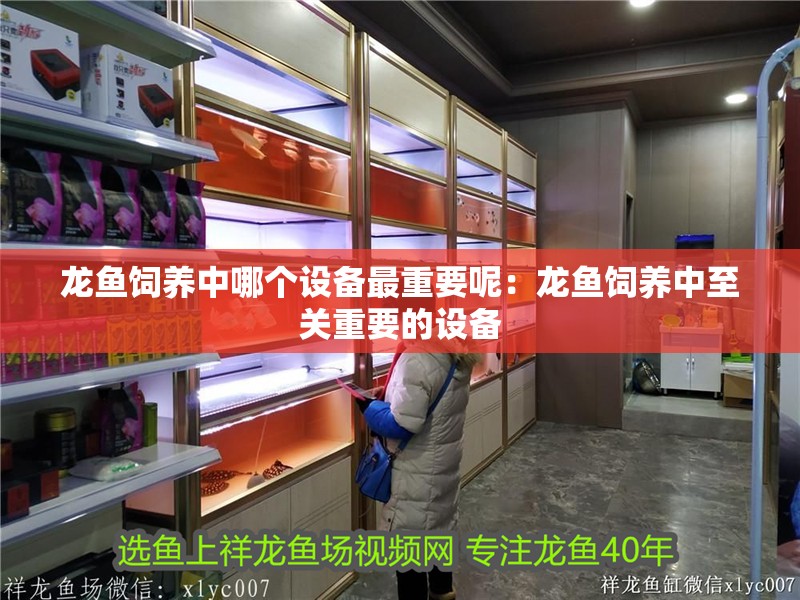 龍魚飼養中哪個設備最重要呢：龍魚飼養中至關重要的設備