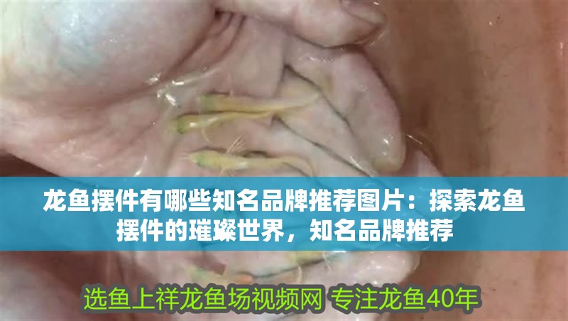 龍魚擺件有哪些知名品牌推薦圖片：探索龍魚擺件的璀璨世界，知名品牌推薦