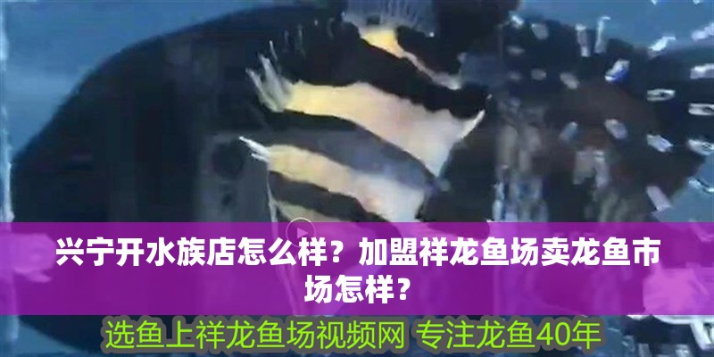 興寧開水族店怎么樣？加盟祥龍魚場賣龍魚市場怎樣？